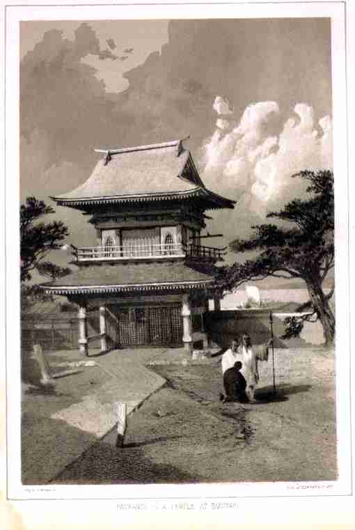 pp-hakotadi.jpg (24912 bytes)