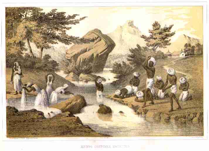 pp-mauritius.jpg (31500 bytes)